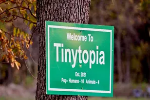 200 W Riley St, Bowie, TX 76230 - Photo 8