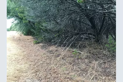 25060 Southhill Drive, Whitney, TX 76692 - Photo 2