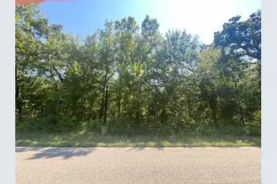 109 Heritage Springs Drive, Brock, TX 76087 - Photo 8