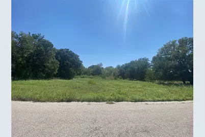 125 Heritage Springs Drive, Brock, TX 76087 - Photo 8