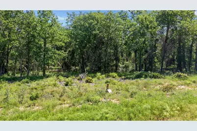 3028 Creekwood Terrace, Poolville, TX 76487 - Photo 4