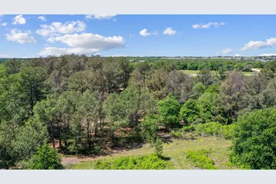 7008 Pinecone Court, Poolville, TX 76487 - Photo 6