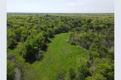 Tbd 149.71 Acres SE Cr 1240, Streetman, TX 75859 - Photo 16