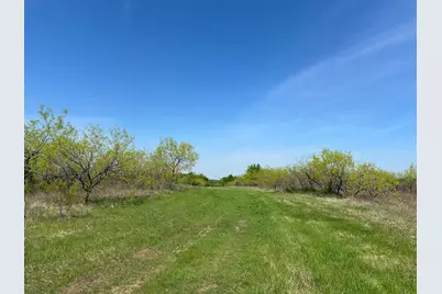 Tbd 149.71 Acres SE Cr 1240, Streetman, TX 75859 - Photo 36
