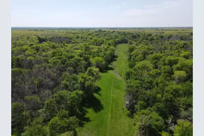 Tbd 149.71 Acres SE Cr 1240, Streetman, TX 75859 - Photo 14