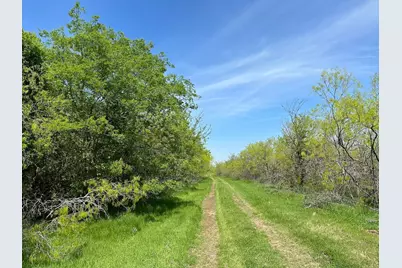 Tbd 149.71 Acres SE Cr 1240, Streetman, TX 75859 - Photo 20