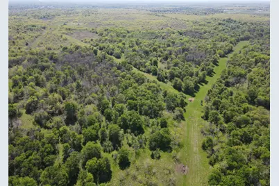 Tbd 149.71 Acres SE Cr 1240, Streetman, TX 75859 - Photo 4