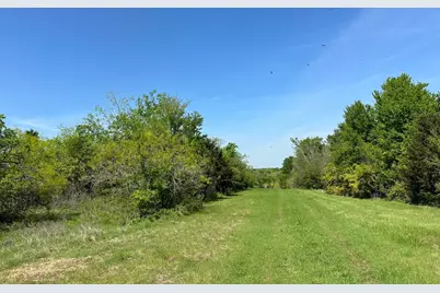 Tbd 149.71 Acres SE Cr 1240, Streetman, TX 75859 - Photo 34