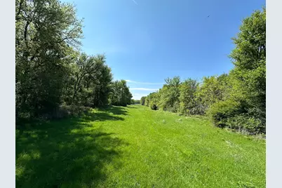 Tbd 149.71 Acres SE Cr 1240, Streetman, TX 75859 - Photo 32