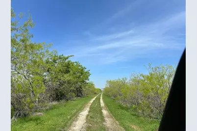 Tbd 149.71 Acres SE Cr 1240, Streetman, TX 75859 - Photo 18