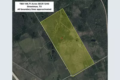 Tbd 149.71 Acres SE Cr 1240, Streetman, TX 75859 - Photo 2