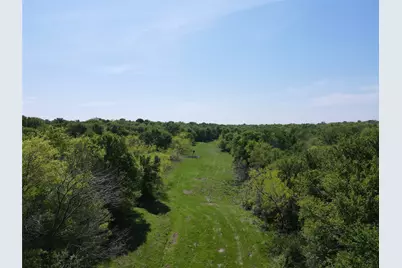 Tbd 149.71 Acres SE Cr 1240, Streetman, TX 75859 - Photo 12