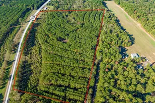 0 Hwy 155, Avinger, TX 68846 - Photo 8