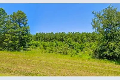 0 Hwy 155, Avinger, TX 68846 - Photo 4