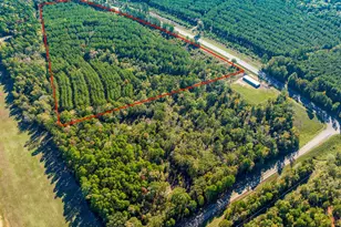 0 Hwy 155, Avinger, TX 68846 - Photo 2