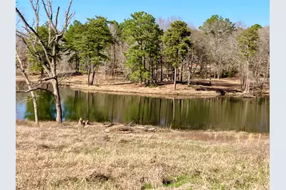 Lot 64 White Oak Creek, Big Sandy, TX 75755 - Photo 2