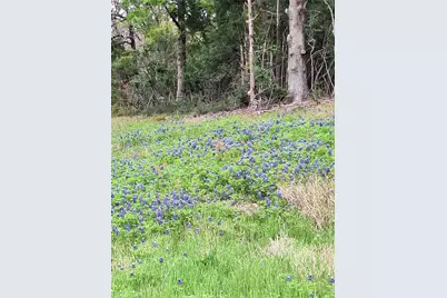 Fm 3371 Fm-3371 Path, Thornton, TX 76687 - Photo 2