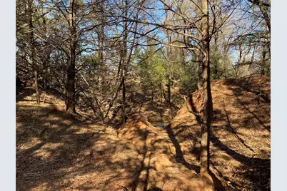 Tbd County Road 2100, Ivanhoe, TX 75447 - Photo 2