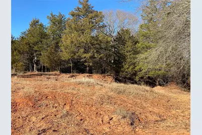 Tbd County Road 2100, Ivanhoe, TX 75447 - Photo 8