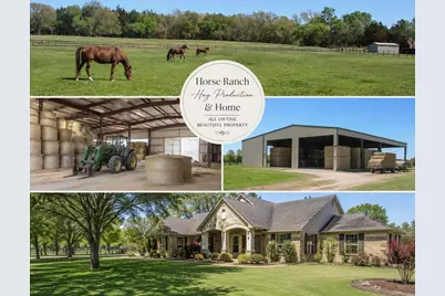 0 Fleming Road, Bells, TX 75414 - Photo 2
