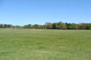 0 Fleming Rd, Bells, TX 75414 - Photo 1