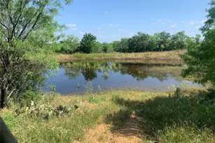 573 Co Rd 412, Carbon, TX 76435 - Photo 4