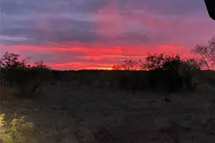 573 Co Rd 412, Carbon, TX 76435 - Photo 8