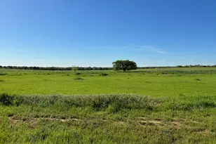 1028 Monarch Ct, Poolville, TX 76487 - Photo 1