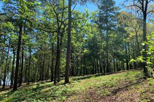 Tbd Fm-3506, Frankston, TX 75763 - Photo 24