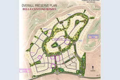 409 Edmonds Street, Frisco, TX 75033 - Photo 4