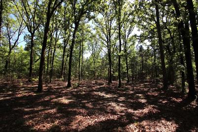 Tbd County Road 4552, Winnsboro, TX 75494 - Photo 38