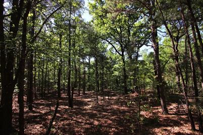 Tbd County Road 4552, Winnsboro, TX 75494 - Photo 30