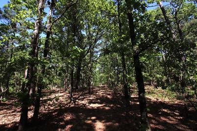 Tbd County Road 4552, Winnsboro, TX 75494 - Photo 32