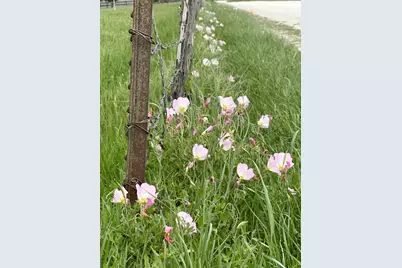 Lot 2 Villa Court, Era, TX 76238 - Photo 4