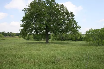 190 Brazos West Drive, Mineral Wells, TX 76067 - Photo 1