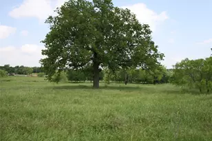 190 Brazos W Dr, Mineral Wells, TX 76067 - Photo 1