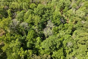 307 Fish Trap Ln, Naples, TX 75568 - Photo 28