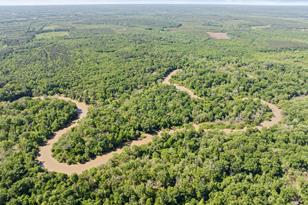 307 Fish Trap Ln, Naples, TX 75568 - Photo 34