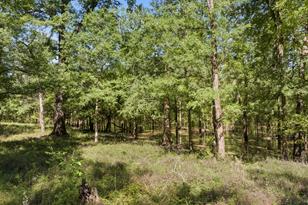 307 Fish Trap Ln, Naples, TX 75568 - Photo 18