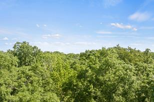 307 Fish Trap Ln, Naples, TX 75568 - Photo 20