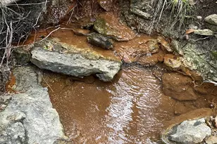 1083 Cedar Hl Dr, Nemo, TX 76070 - Photo 10