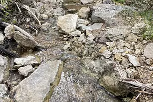 1083 Cedar Hl Dr, Nemo, TX 76070 - Photo 8