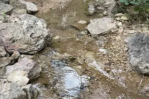 1083 Cedar Hl Dr, Nemo, TX 76070 - Photo 6