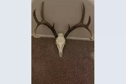 1061 County Road 1807, Yantis, TX 75497 - Photo 40