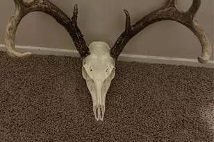 1061 Co Rd 1807, Yantis, TX 75497 - Photo 40