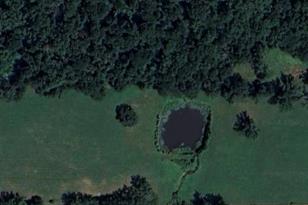 1061 Co Rd 1807, Yantis, TX 75497 - Photo 34