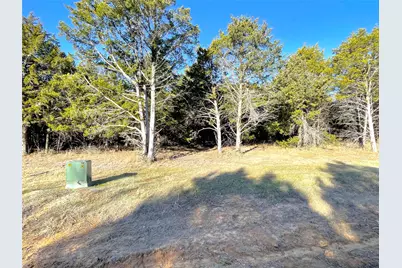 847 Eagle Oaks Drive, Gordonville, TX 76245 - Photo 2