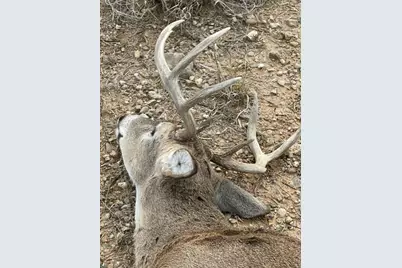 218 Cr 2115, Klondike, TX 75432 - Photo 34