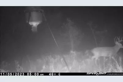 218 Cr 2115, Klondike, TX 75432 - Photo 28