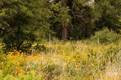 Lot 26 New Hope Road Road, Santo, TX 76484 - Photo 26